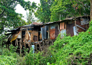A dilapidated shack made of rusted corrugated metal and wooden planks, surrounded by lush green vegetation.